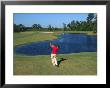 Hitting Over Water, Laurel Island Link, Ga by Pat Canova Limited Edition Pricing Art Print