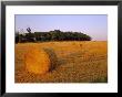 Hay Bales, Suffolk, England, Uk, Europe by John Miller Limited Edition Print