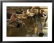 Girl Takes A Drink From The Water Spouts In A Temple Courtyard At Godavari In The Kathmandu Valley by Don Smith Limited Edition Pricing Art Print