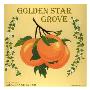 Golden Star by Elizabeth Garrett Limited Edition Pricing Art Print