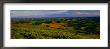 Fields And Wildflowers, Palouse Country, Eastern by Christopher Jacobson Limited Edition Print