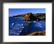 Coastline At Piha Dominated By Lion Rock, New Zealand by Barnett Ross Limited Edition Print