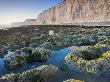 Rockpools Below White Chalk Cliffs Of Birling Gap, East Sussex, England by Adam Burton Limited Edition Print