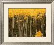 Aspen Trees In Fall Colors In Sw Colorado by Michael S. Lewis Limited Edition Print