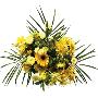 Assorted Yellow Flowers On White Background by Images Monsoon Limited Edition Print