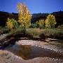 Salt Creek, Canyonlands National Park, Utah by Images Monsoon Limited Edition Print