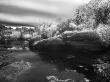 Rocks And Trees At Barker Dam In Joshua Tree National Park by Images Monsoon Limited Edition Print