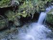 Small Waterfall Drops In Shakerag Hollow by Stephen Alvarez Limited Edition Print