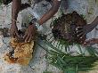 Local People Collect Honey In The Tsingy by Stephen Alvarez Limited Edition Print