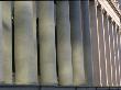 Columns On The Federal Courthouse In Birmingham by Stephen Alvarez Limited Edition Print