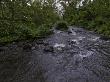 Driving Across A River In The Waipi'o Valley by Todd Gipstein Limited Edition Print