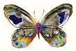 Butterfly by Harold Davis Limited Edition Print