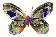 Butterfly by Harold Davis Limited Edition Pricing Art Print