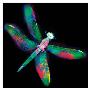 Dragonfly Iv by Harold Davis Limited Edition Pricing Art Print