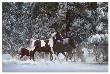 Snowy Runners by Steve Hunziker Limited Edition Pricing Art Print