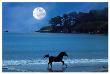 Moonlight Run by Stephanie Laird Limited Edition Pricing Art Print