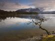 Sunshine On A Cloudy Morning At Derwent Water, Lake District National Park, Cumbria, England, Uk by Adam Burton Limited Edition Print