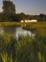 Cottage Across The River Test At Chilbolton Common, Chilbolton, Hampshire, United Kingdom by Adam Burton Limited Edition Print