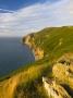 Cliffs Near Foreland Point, Lynmouth, Exmoor National Park, Devon, England, United Kingdom, Europe by Adam Burton Limited Edition Print