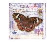 Butterfly Artifact Lilac by Alan Hopfensperger Limited Edition Print