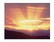 Foothills Sunburst by Danny Burk Limited Edition Print