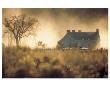 Homestead by Clifton Hill Limited Edition Print