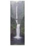 Oregon Multnomah 2 by Danny Burk Limited Edition Pricing Art Print