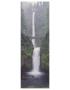 Oregon Multnomah 2 by Danny Burk Limited Edition Print