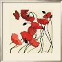Poppies And Cream Ii by Shirley Novak Limited Edition Print