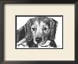 Lindy The Beagle by Beth Thomas Limited Edition Print