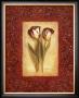 Designer Tulips by Charlene Winter Olson Limited Edition Print