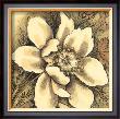Cropped Golden Elegance I by Megan Meagher Limited Edition Pricing Art Print