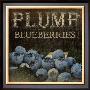 Plump Blueberries by Jennifer Pugh Limited Edition Print