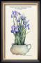 Iris Chamber by Sharon Pedersen Limited Edition Print