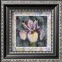Iris Bloom by G.P. Mepas Limited Edition Print