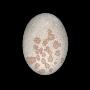 A Water Rounded Stone Reminiscent Of A Dinosaur Egg by Josie Iselin Limited Edition Print