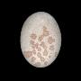 A Water Rounded Stone Reminiscent Of A Dinosaur Egg by Josie Iselin Limited Edition Print