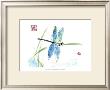 Dragonfly by Nan Rae Limited Edition Print
