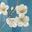 Blossom Bough by Jurgen Gottschlag Limited Edition Pricing Art Print