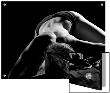 Woman's Back On Black Background by A.B. Limited Edition Print