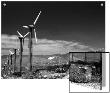 Windmills, California by D.J. Limited Edition Pricing Art Print