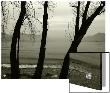 Misty Evening In Lago Maggiore, Italy, In Sepia by I.W. Limited Edition Print
