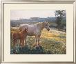 Mare And Foal In A Field Of Buttercups by Sir Alfred Munnings Limited Edition Print