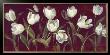 Ivory Tulip by Fabrice De Villeneuve Limited Edition Print