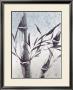 Cool Bamboo I by Katsumi Sugita Limited Edition Print