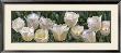 Eleven White Tulips by Edward Loedding Limited Edition Pricing Art Print