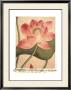 Lotus Flower by Deborah Schenck Limited Edition Pricing Art Print