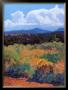 Distant Hills by Mary Silverwood Limited Edition Pricing Art Print