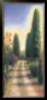 Tuscan Road Ii by David Wander Limited Edition Print