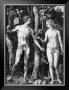 Adam And Eve, C.1506 by Albrecht Dã¼rer Limited Edition Print